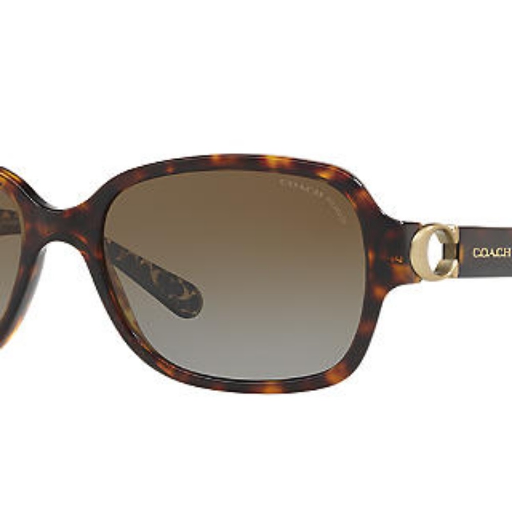Coach Sunglasses HC8241